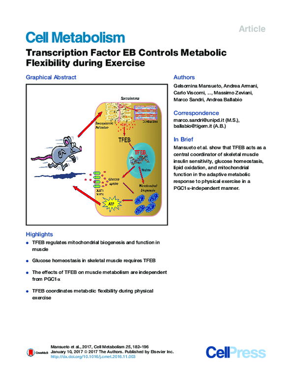 (PDF) Transcription Factor EB Controls Metabolic Flexibility during ...