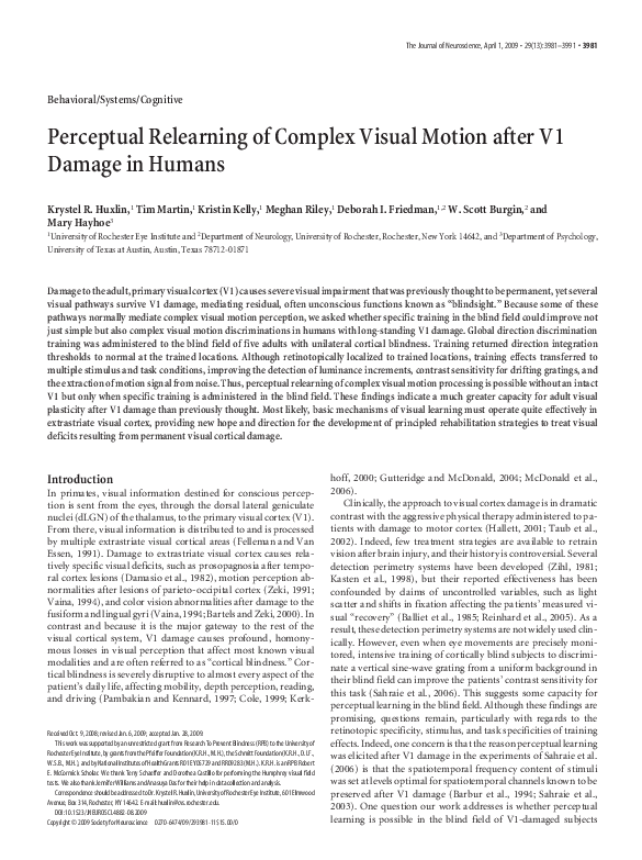 (PDF) Perceptual Relearning of Complex Visual Motion after V1 Damage in ...