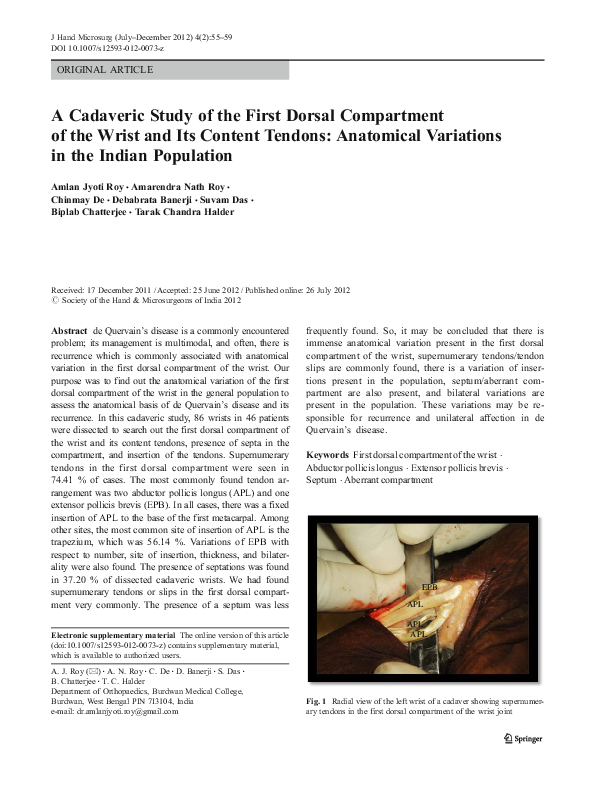 (PDF) A Cadaveric Study of the First Dorsal Compartment of the Wrist