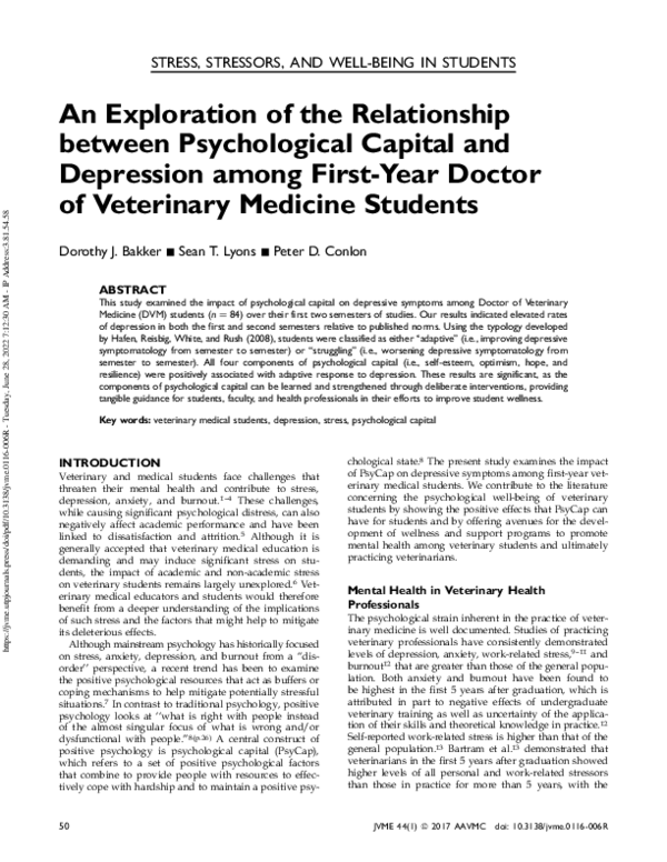 (PDF) An Exploration of the Relationship between Psychological Capital ...