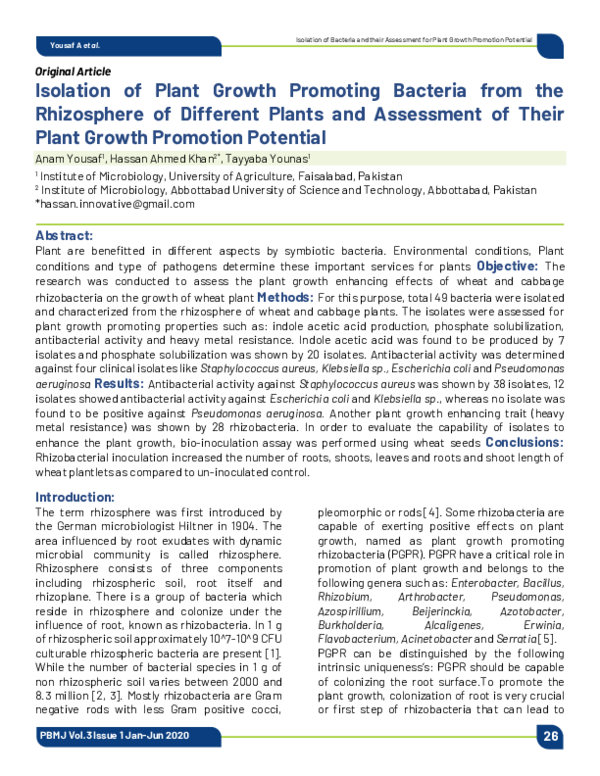 (PDF) Isolation of Plant Growth Promoting Bacteria from the Rhizosphere ...