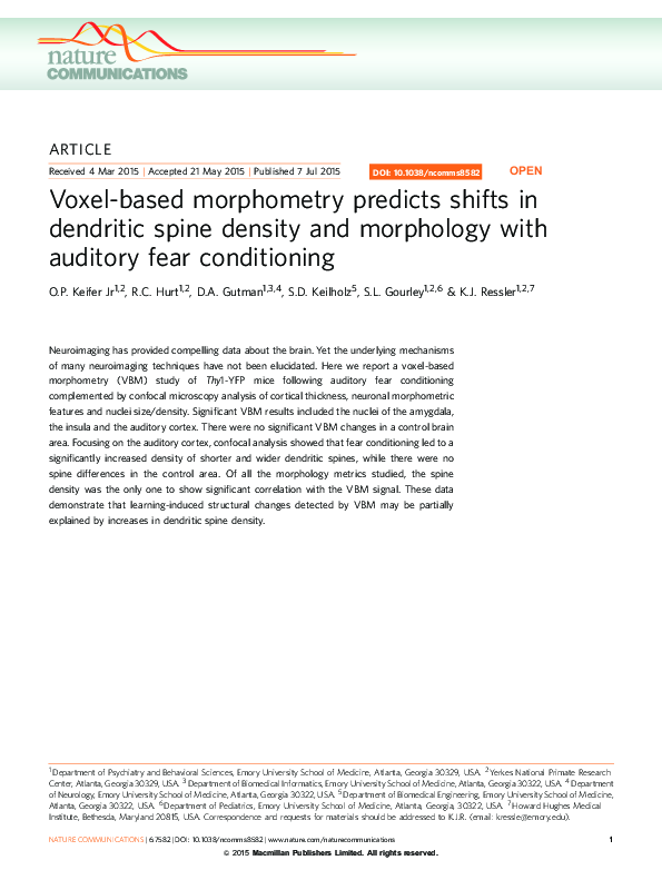 (PDF) Voxel-based morphometry predicts shifts in dendritic spine ...