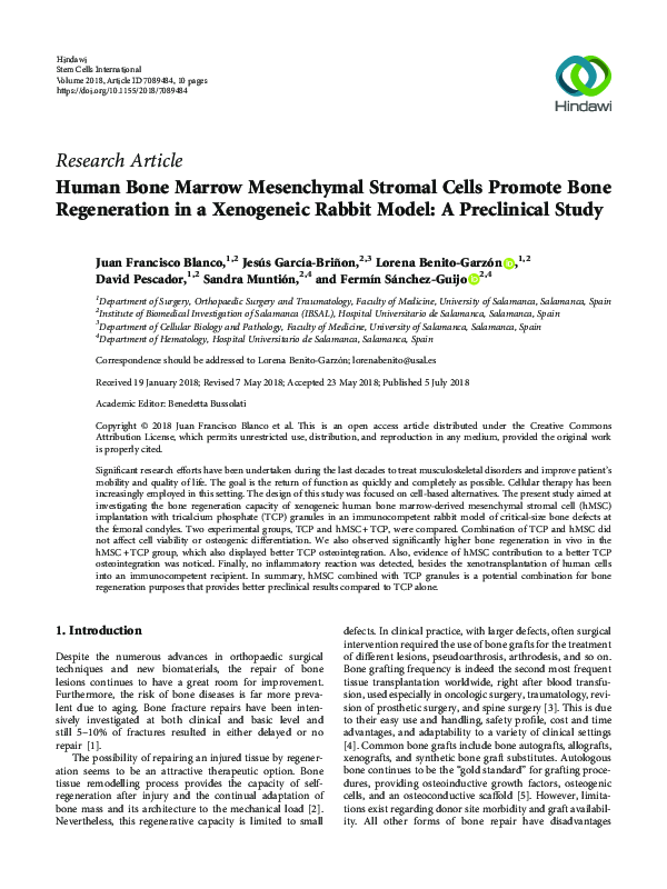 (PDF) Human Bone Marrow Mesenchymal Stromal Cells Promote Bone ...