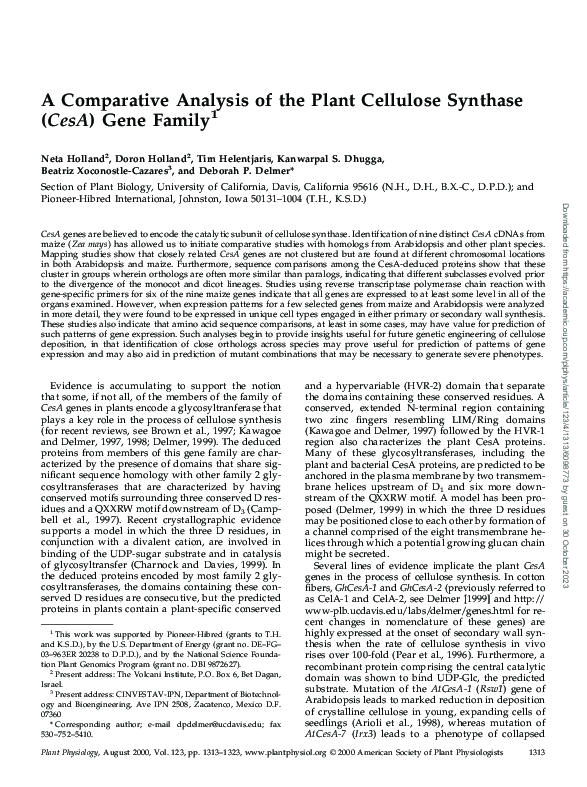 (PDF) A Comparative Analysis of the Plant Cellulose Synthase (CesA ...