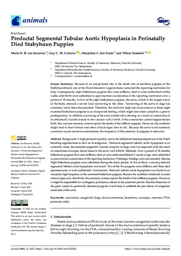(PDF) Preductal Segmental Tubular Aortic Hypoplasia in Perinatally Died ...