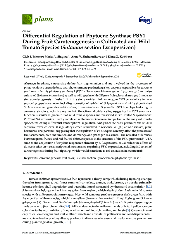 (PDF) Differential Regulation of Phytoene Synthase PSY1 During Fruit ...