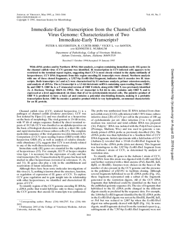 (PDF) Immediate-early transcription from the channel catfish virus ...