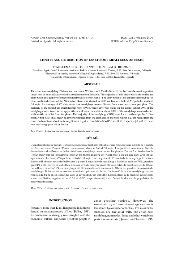 (PDF) Density and distribution on enset root mealybugs on enset