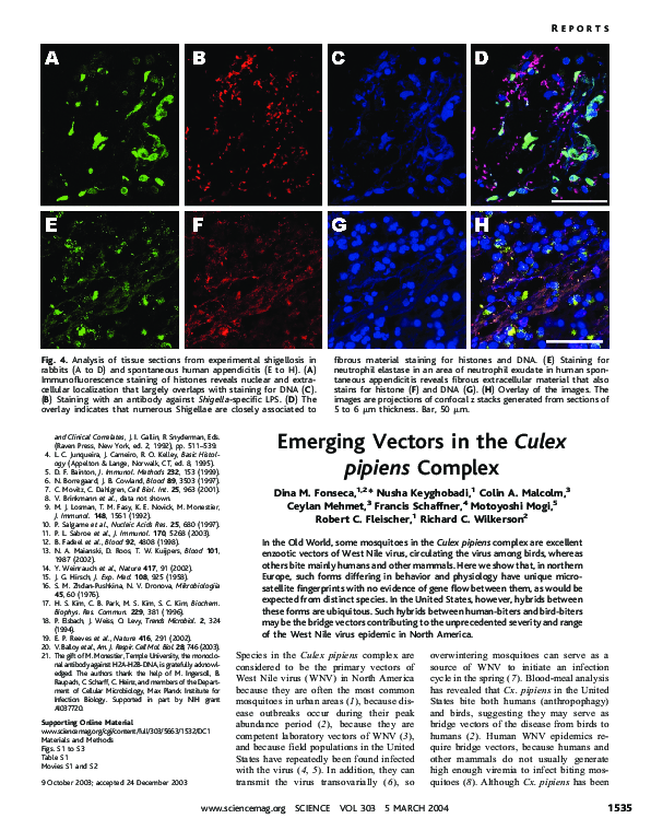 (PDF) Emerging Vectors in the Culex pipiens Complex