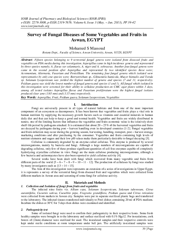 (PDF) Survey of Fungal Diseases of Some Vegetables and Fruits in Aswan ...