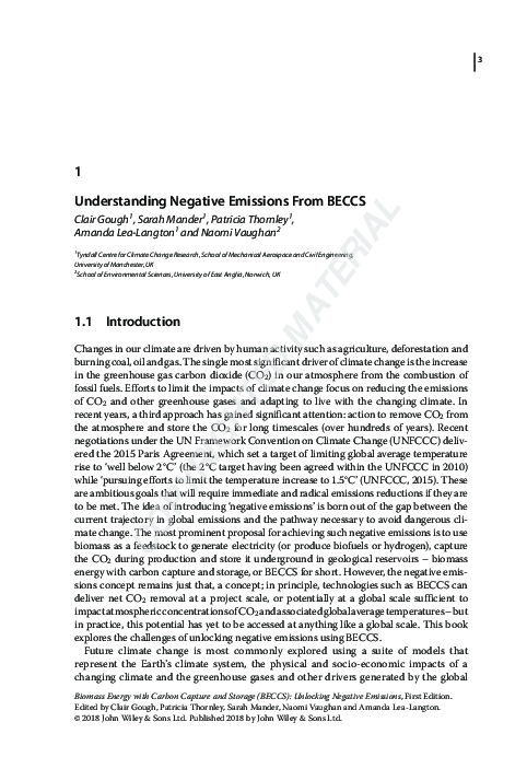 Pdf Understanding Negative Emissions From Beccs