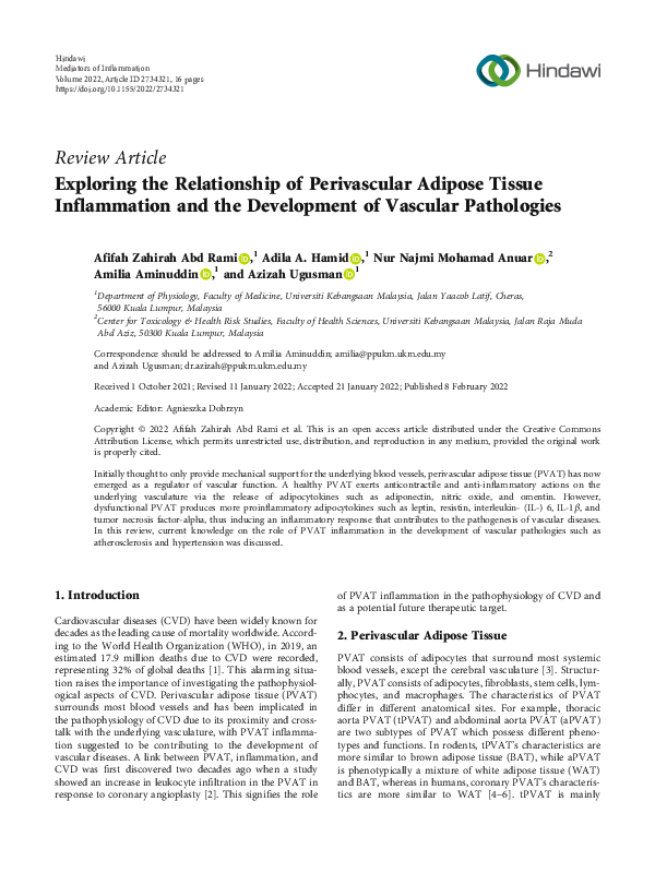 (PDF) Exploring the Relationship of Perivascular Adipose Tissue ...