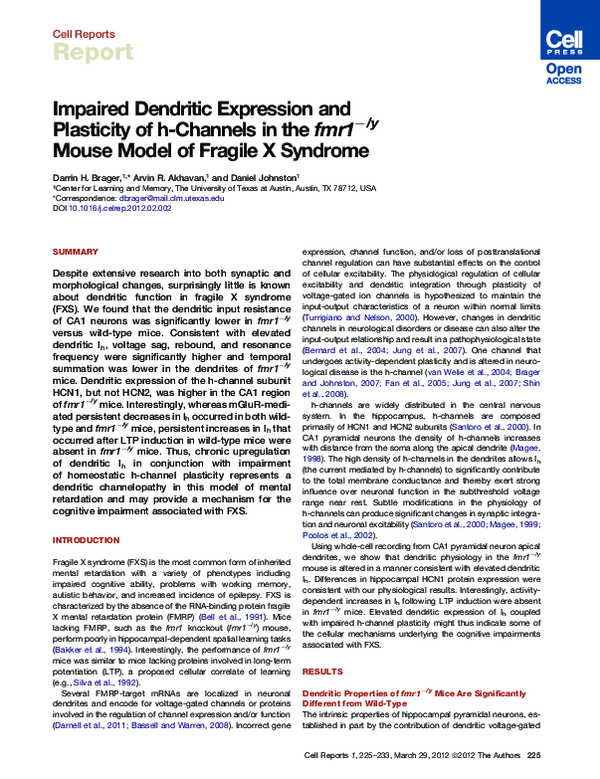(PDF) Impaired Dendritic Expression and Plasticity of h-Channels in the ...