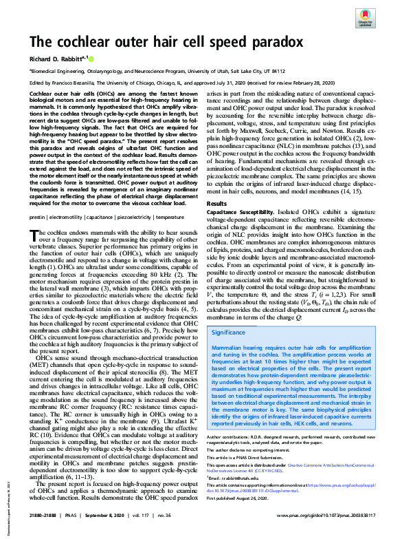 (PDF) The cochlear outer hair cell speed paradox