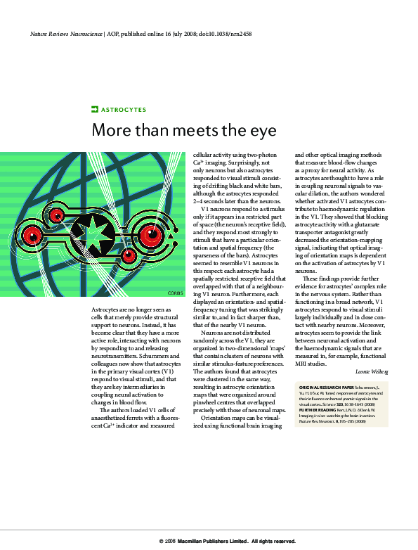 (PDF) More Than Meets the Eye