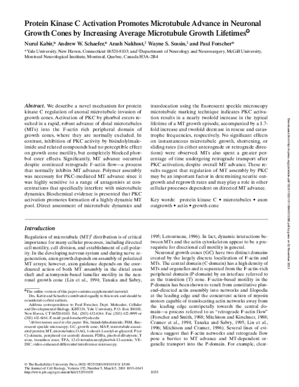 (PDF) Protein Kinase C Activation Promotes Microtubule Advance in ...