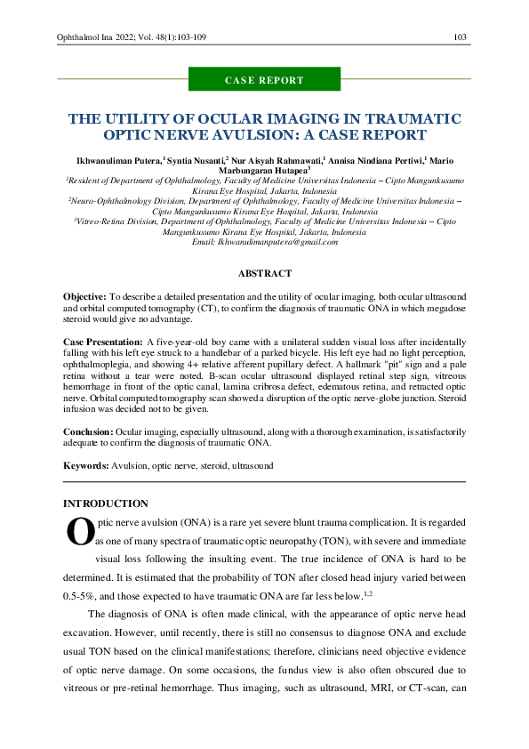 (PDF) The Utility of Ocular Imaging in Traumatic Optic Nerve Avulsion ...