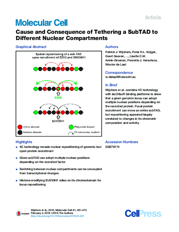 (PDF) Cause and Consequence of Tethering a SubTAD to Different Nuclear ...