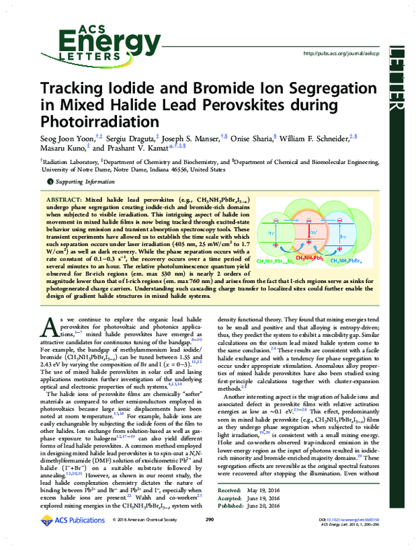 (PDF) Tracking Iodide and Bromide Ion Segregation in Mixed Halide Lead ...