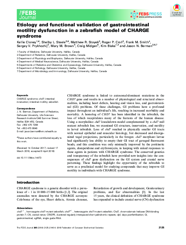 gabapentin gastric motility