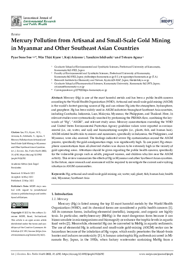 (PDF) Mercury Pollution from Artisanal and Small-Scale Gold Mining in ...