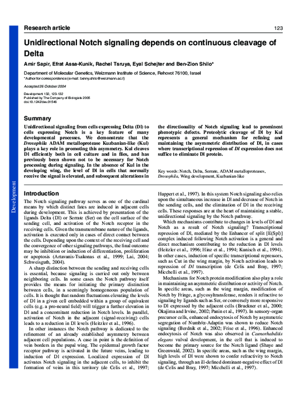 (PDF) Unidirectional Notch signaling depends on continuous cleavage of ...