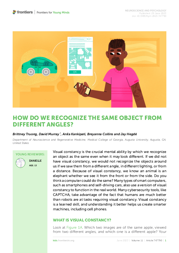 (PDF) How Do We Recognize the Same Object From Different Angles?