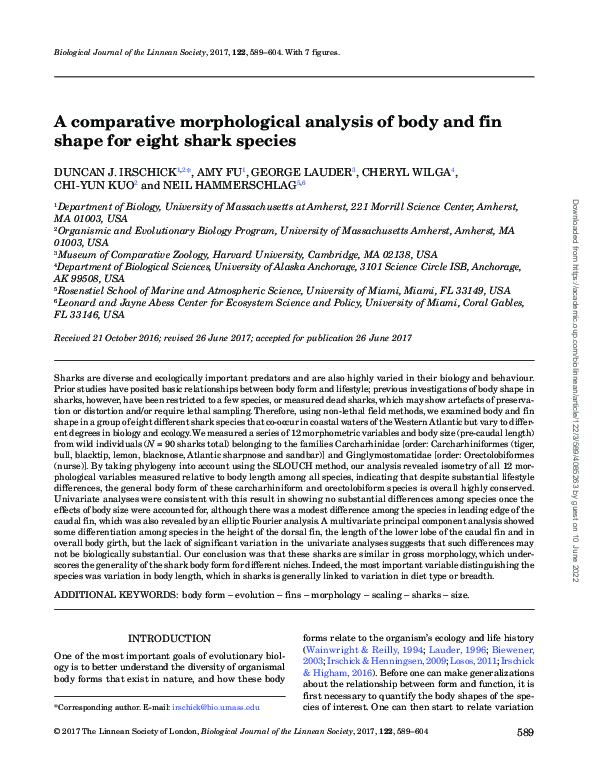 (PDF) A comparative morphological analysis of body and fin shape for ...