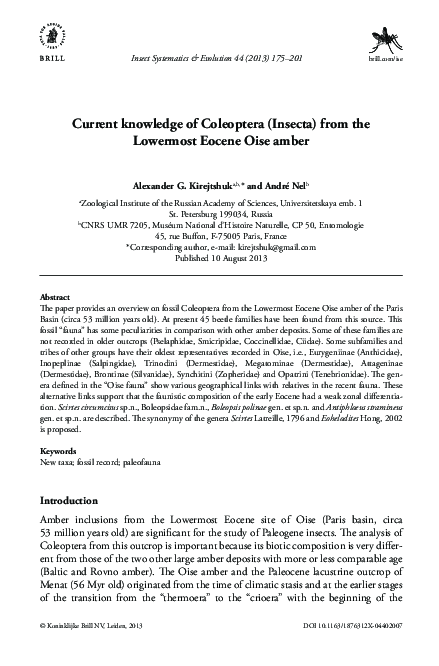 (PDF) Current knowledge of Coleoptera (Insecta) from the Lowermost ...