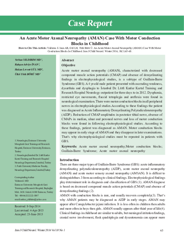 (PDF) Acute Motor Axonal Neuropathy (Aman) With Motor Conduction Blocks ...