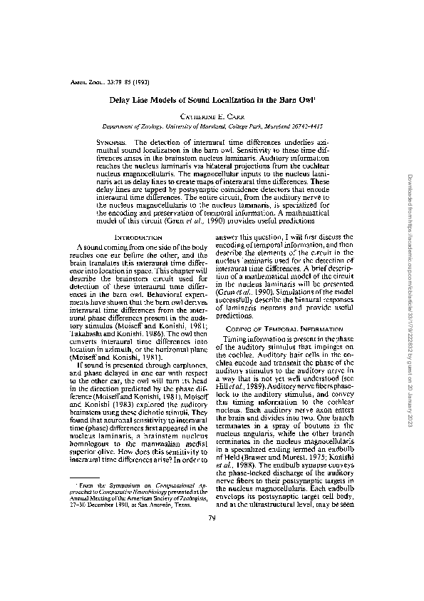 (PDF) Delay Line Models of Sound Localization in the Barn Owl