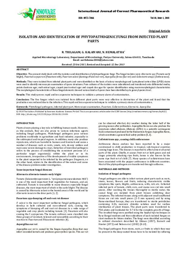 (PDF) Isolation and Identification of Phytopathogenic Fungi from ...