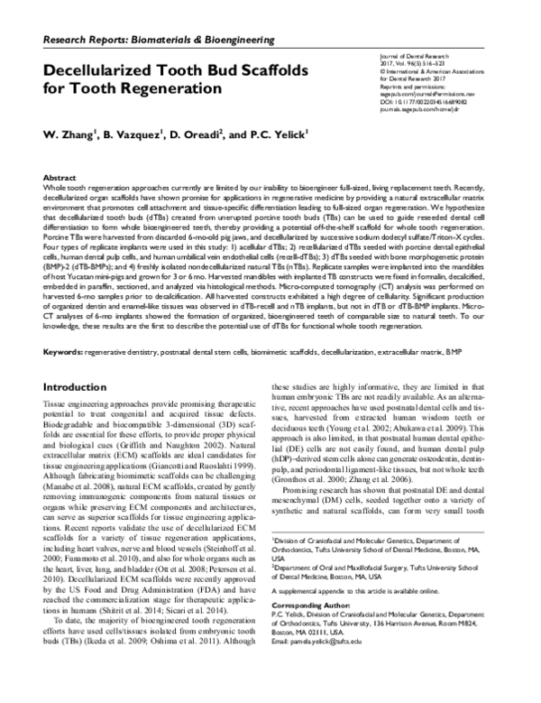 (PDF) Decellularized Tooth Bud Scaffolds for Tooth Regeneration