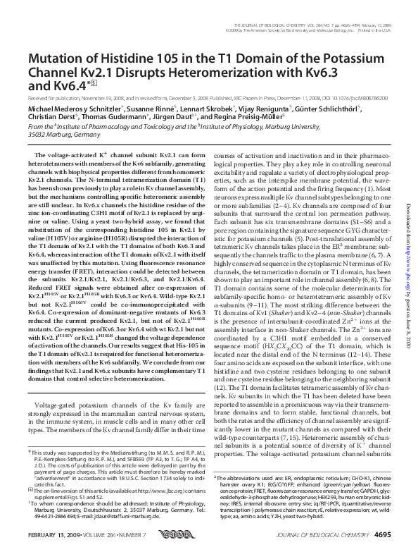 (PDF) Mutation of Histidine 105 in the T1 Domain of the Potassium ...