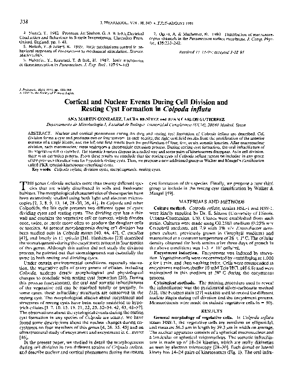 (PDF) Cortical and Nuclear Events During Cell Division and Resting Cyst ...