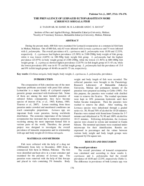 (PDF) The Prevalence of Lernaeid Ectoparasites in Mori (Cirrhinus ...