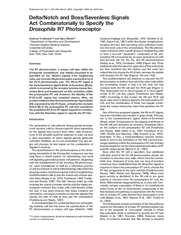 (PDF) Delta/Notch and Boss/Sevenless Signals Act Combinatorially to ...