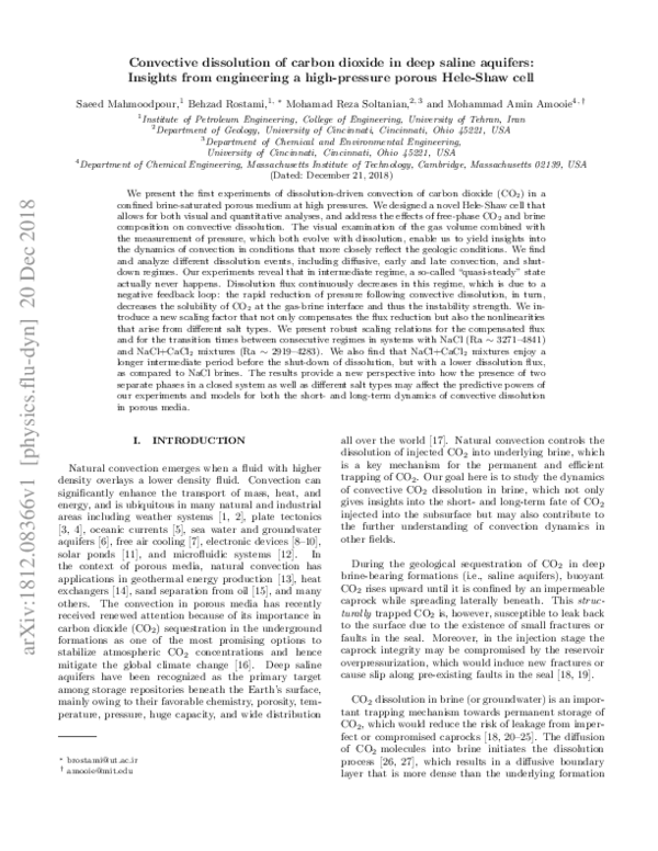 (PDF) Convective Dissolution of Carbon Dioxide in Deep Saline Aquifers ...