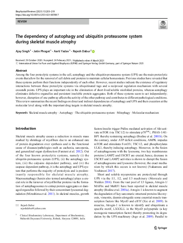 (PDF) The dependency of autophagy and ubiquitin proteasome system ...