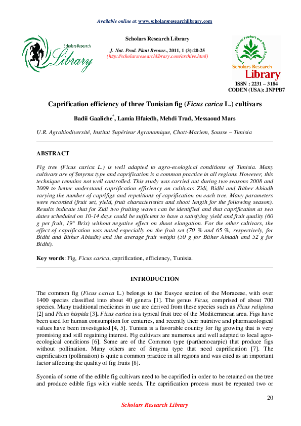 (PDF) Caprification efficiency of three Tunisian fig (Ficus carica L
