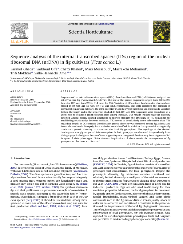 (PDF) Sequence analysis of the internal transcribed spacers (ITSs ...