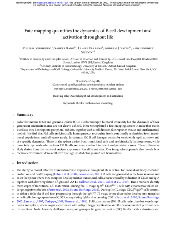 (PDF) Fate mapping quantifies the dynamics of B cell development and ...
