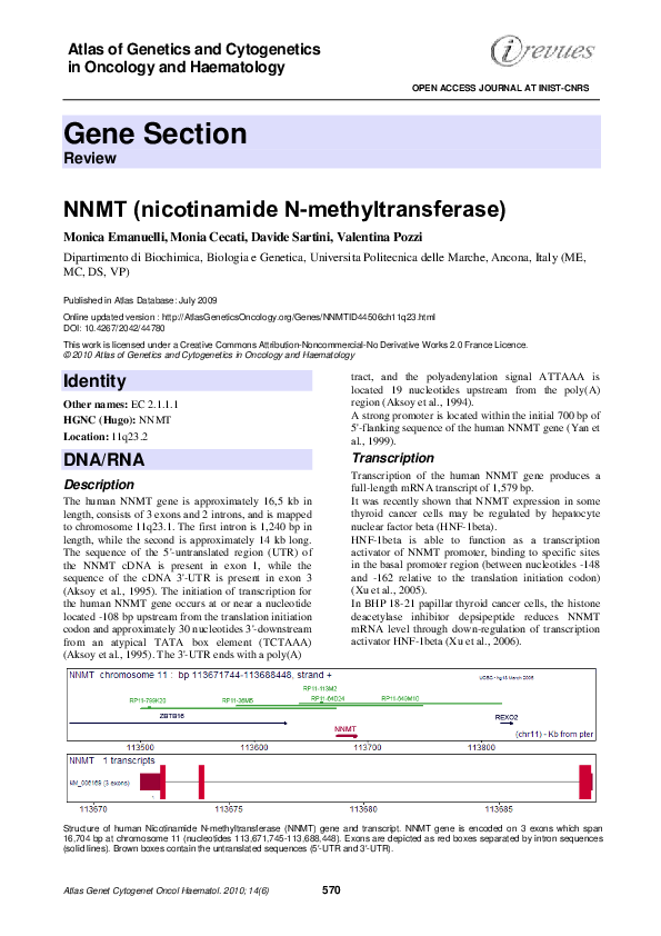 (PDF) NNMT (nicotinamide N-methyltransferase)