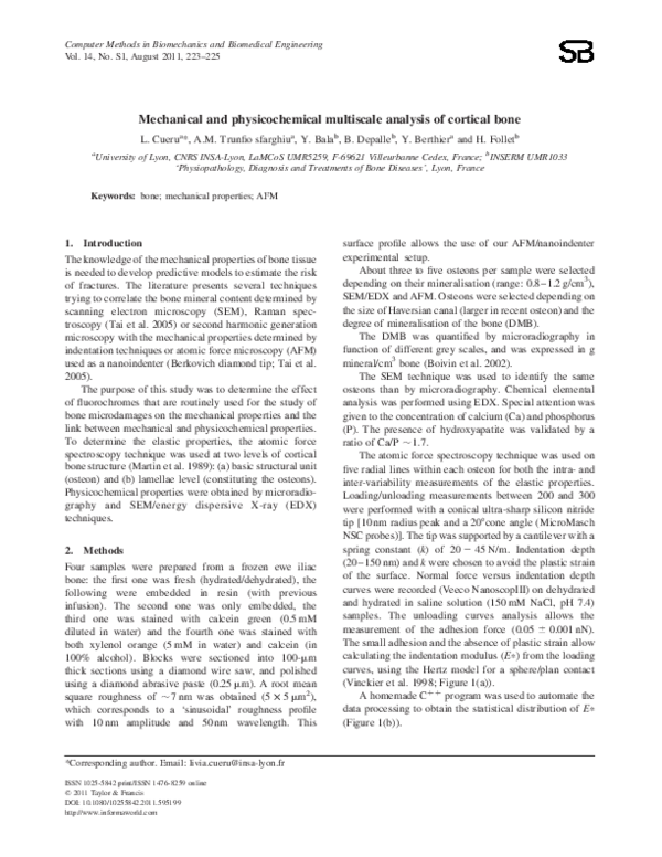(PDF) Mechanical and physicochemical multiscale analysis of cortical bone