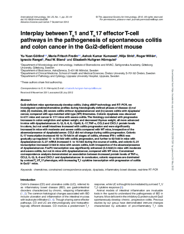 (PDF) Interplay between Th1 and Th17 effector T-cell pathways in the ...