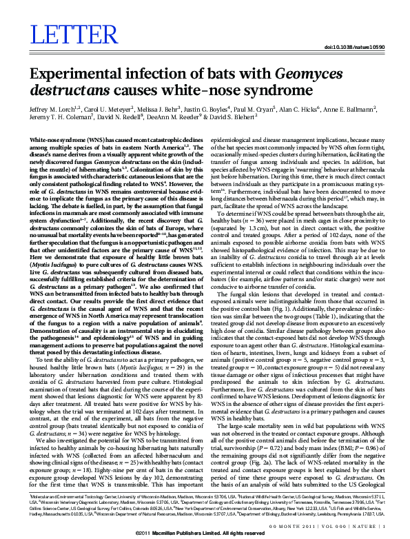 (PDF) Experimental infection of bats with Geomyces destructans causes ...