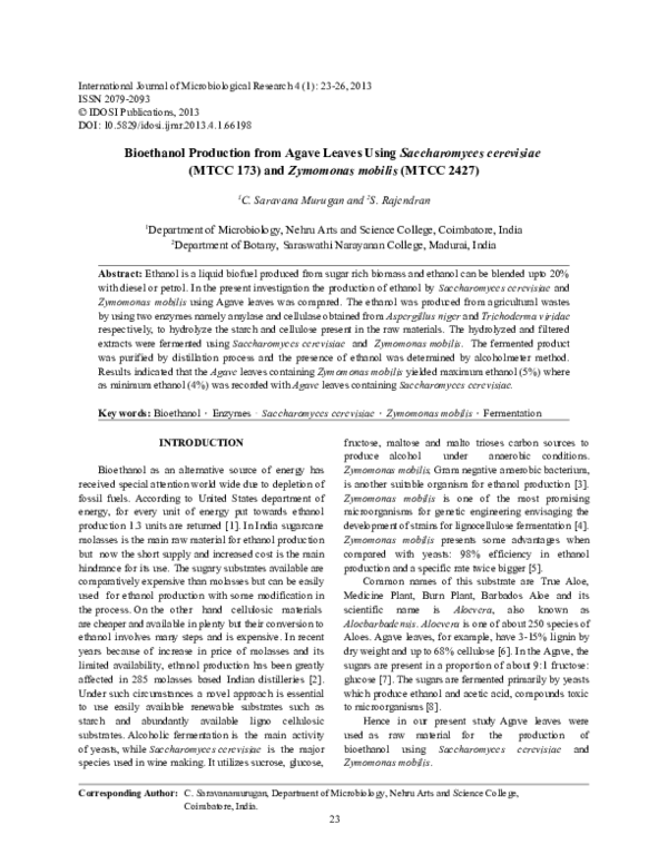 (PDF) Bioethanol Production from Agave Leaves Using Saccharomyces ...