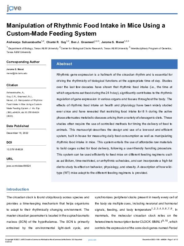 (PDF) Manipulation of Rhythmic Food Intake in Mice Using a Custom-Made ...