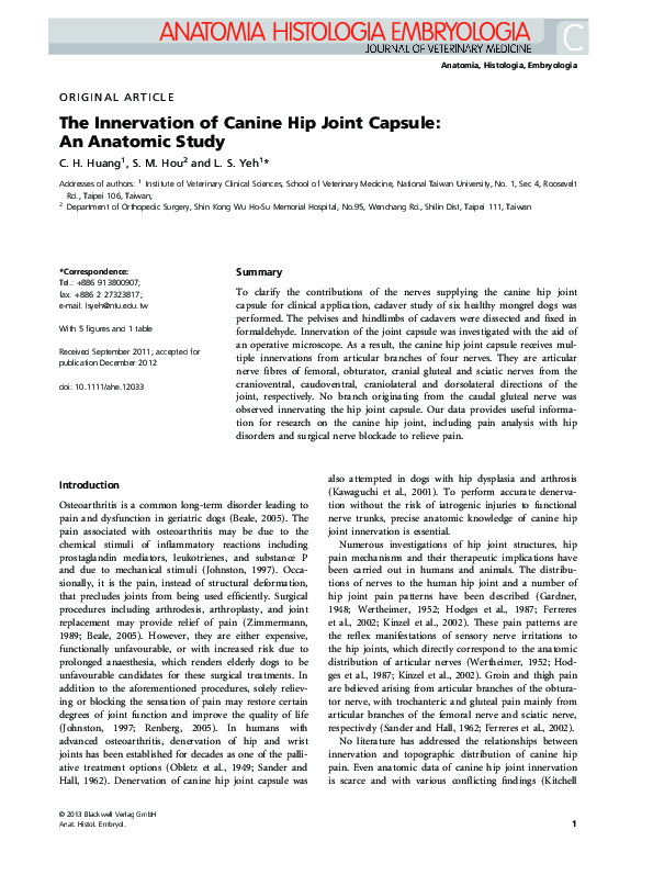 (PDF) The Innervation of Canine Hip Joint Capsule An Anatomic Study