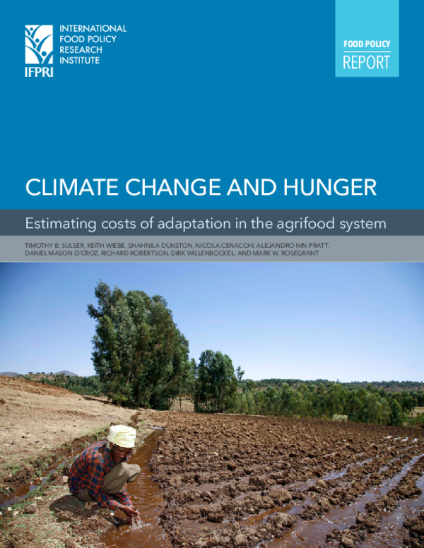 (PDF) Climate Change and hunger: Estimating costs of adaptation in the ...